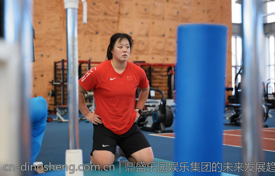 鼎盛乐园娱乐集团的未来发展趋势