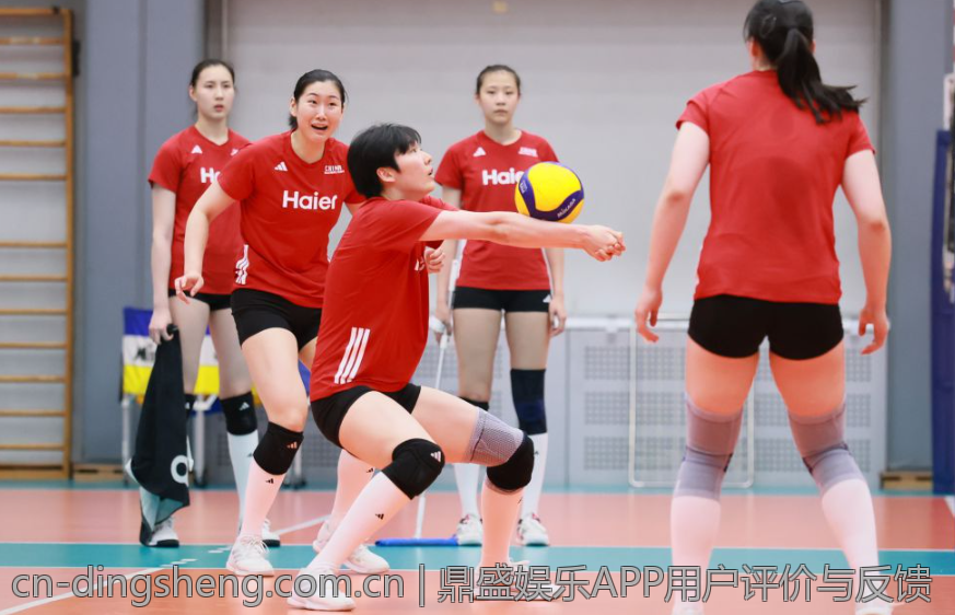 鼎盛娱乐APP用户评价与反馈