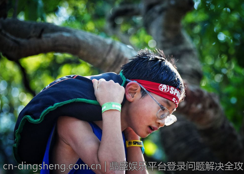 鼎盛娱乐平台登录问题解决全攻略