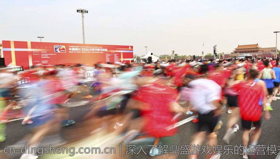 深入了解鼎盛游戏娱乐的运营模式